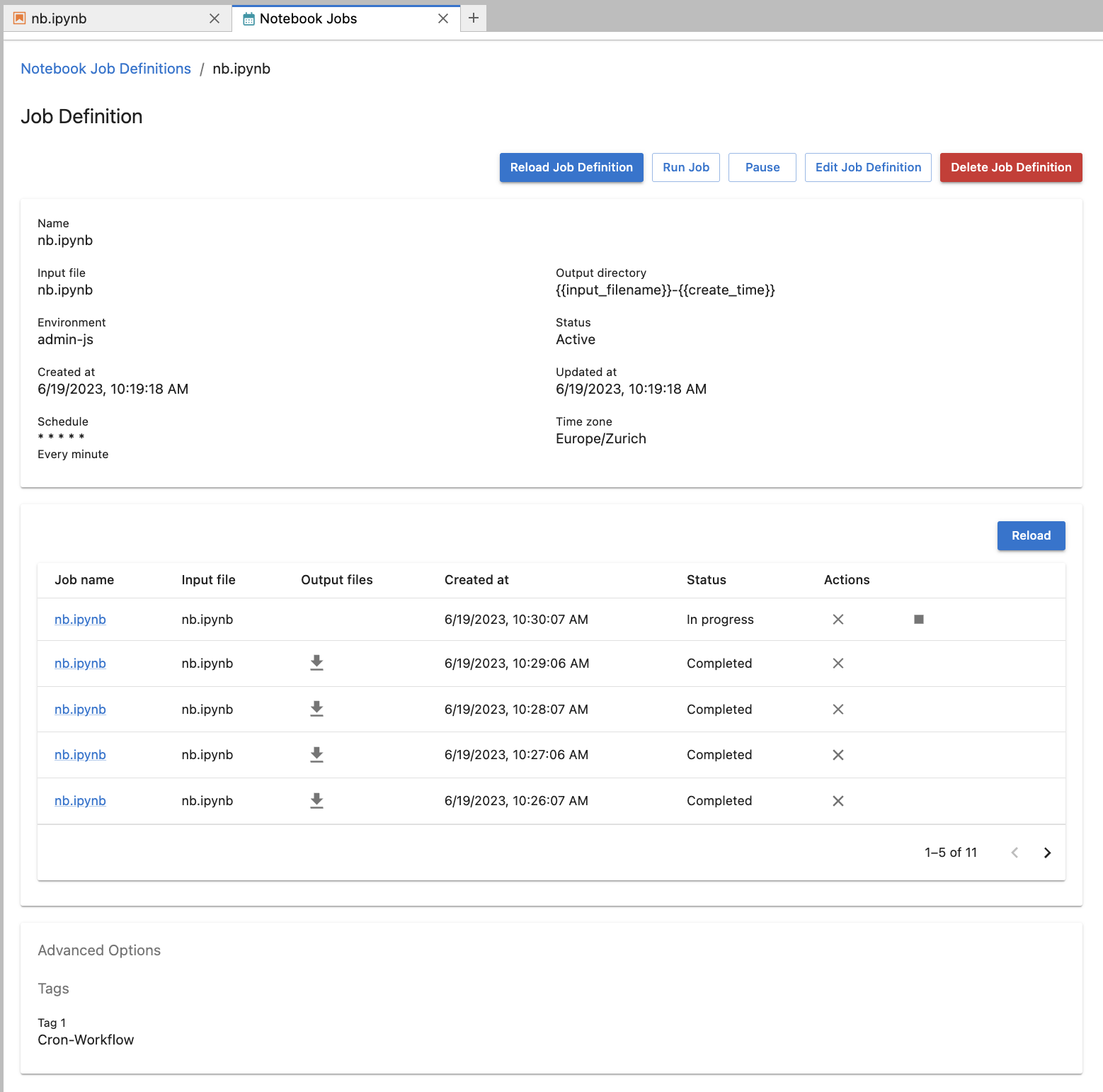 Jupyter-Scheduler UI - view a job definition details.